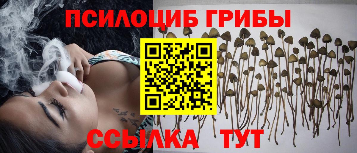 Галлюциногенные грибы мухоморы  Вход с VPN  Конаково  Псилоцибиновые грибы Psilocybe 
