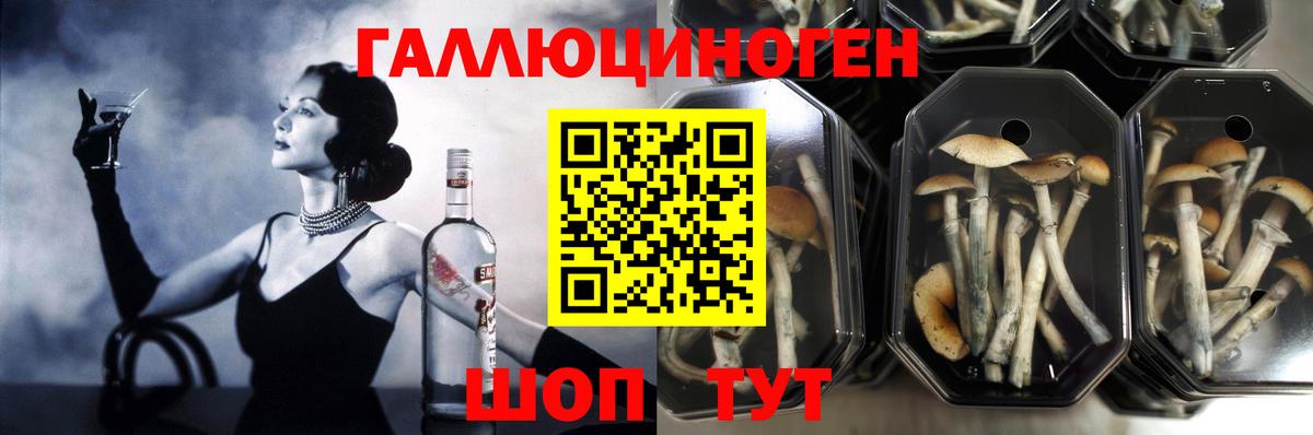 Галлюциногенные грибы прущие грибы Конаково